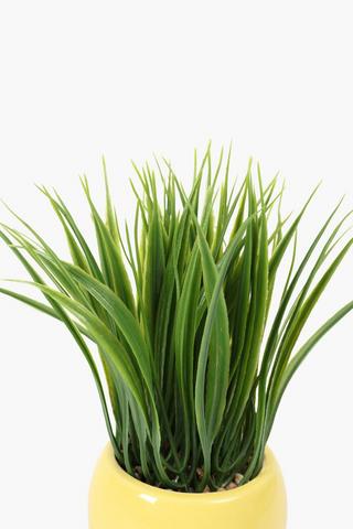 Grass In Smile Pot, 10x25cm