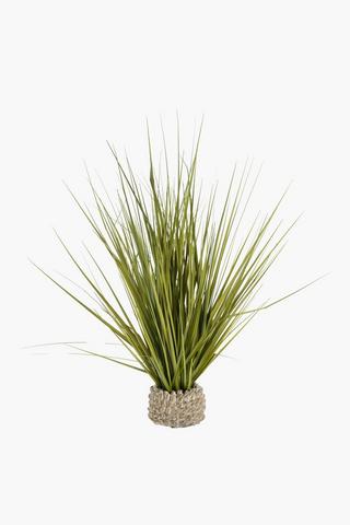Grass In Barnacle Pot, 76cm