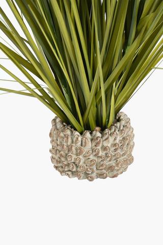 Grass In Barnacle Pot, 76cm