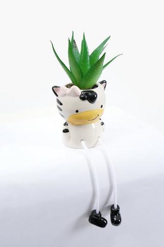 Cute Cat Pot Plant