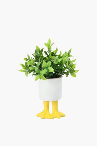 Greenery In Duck Feet Pot, 11x23cm
