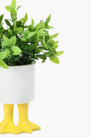 Greenery In Duck Feet Pot, 11x23cm