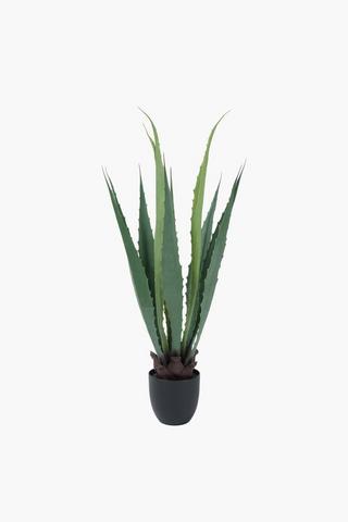 Sisal Agave, 113cm