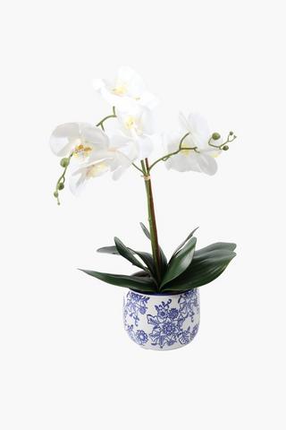 Orchid In Delft Pot, 10x48cm