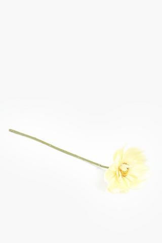 Queen Cosmos Single Stem, 38cm