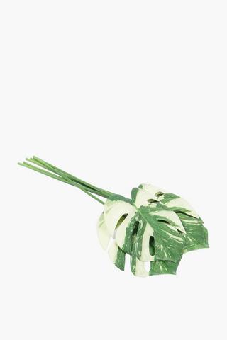 Turtle Leaf Bunch, 52cm