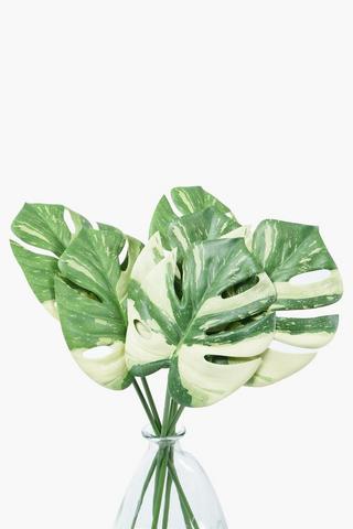 Turtle Leaf Bunch, 52cm