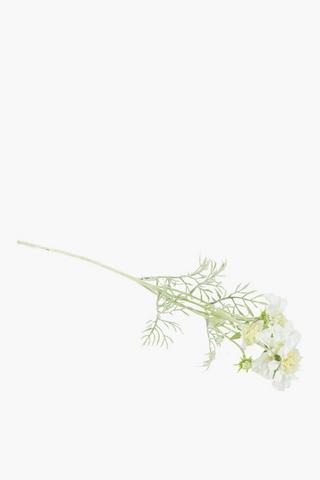 Scabiosa Flower Single Stem, 60cm