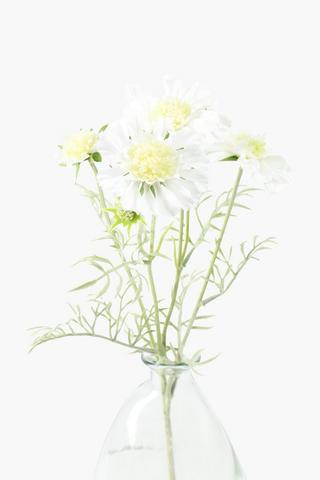 Scabiosa Flower Single Stem, 60cm