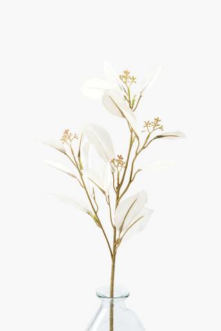 Eucalyptus Single Stem, 62cm