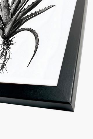 Framed Aloe Canvas, 60x90cm
