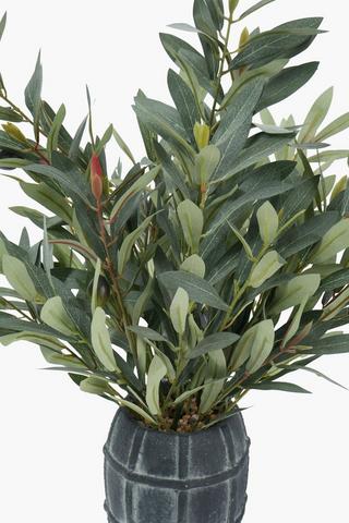 Olive In Checked Urn, 61cm