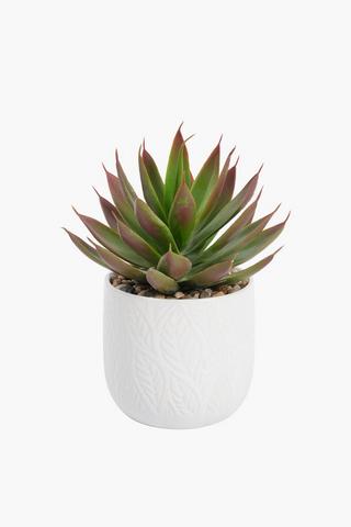 Agave In Leaf Pot, 7.5x16cm