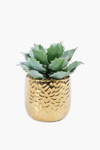 Rock Thorn Petal In Metallic Pot, 17cm
