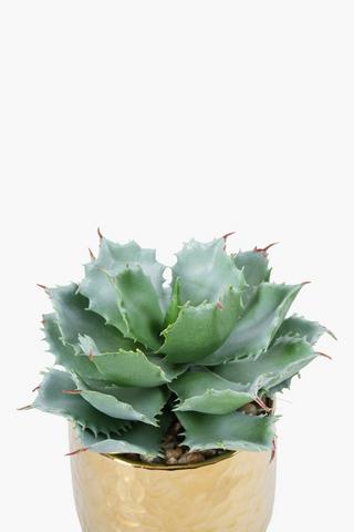 Rock Thorn Petal In Metallic Pot, 17cm
