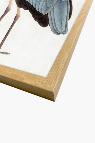 Framed Blue Crane Canvas, 40x60cm