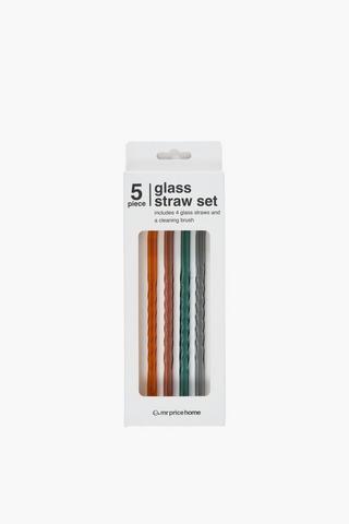 5 Piece Glass Straw Set