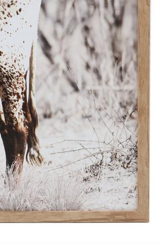 Framed Printed Nguni Canvas, 60x90cm