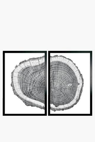2 Pack Framed Tree Trunk Canvas, 40x60cm