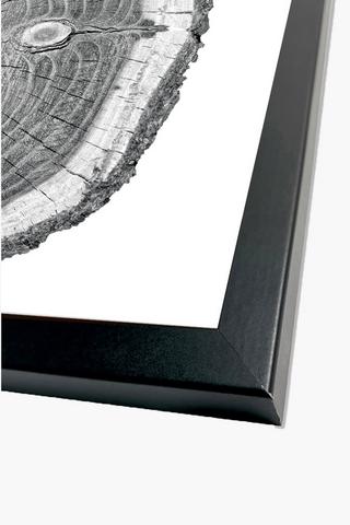 2 Pack Framed Tree Trunk Canvas, 40x60cm