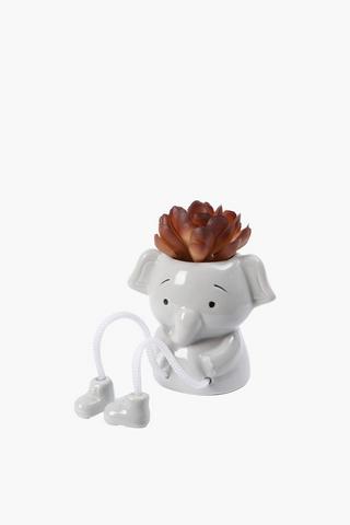 Ceramic Elephant Pot Plant