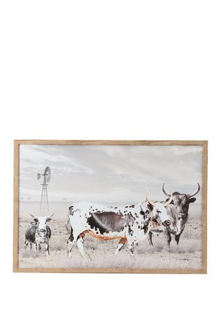 Framed Printed Nguni Canvas, 50x70cm
