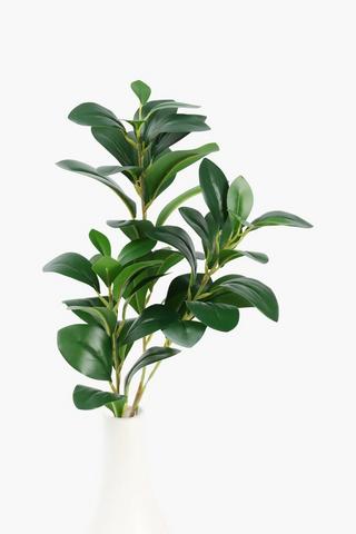 Evergreen Single Stem, 69cm