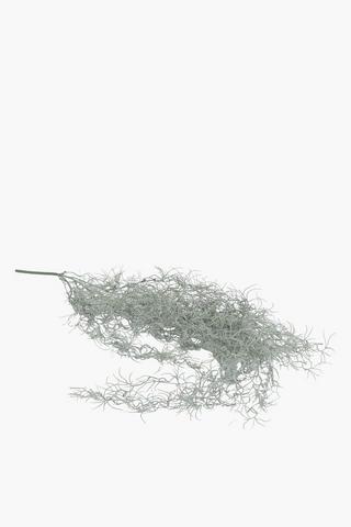 Old Man's Beard Single Stem, 90cm