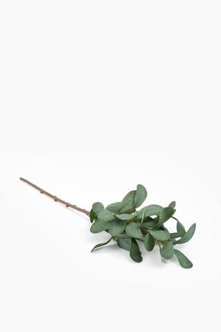 Gum Leaf Single Stem, 47cm