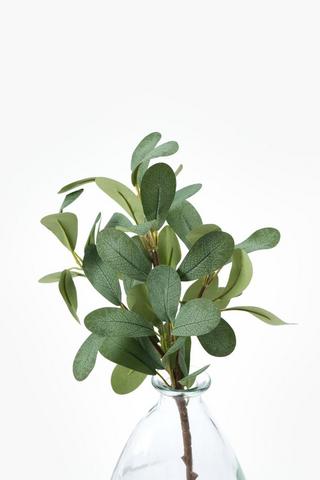 Gum Leaf Single Stem, 47cm
