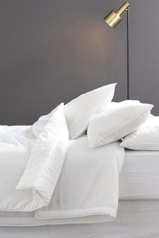 2 Pack Carded Hollow Fibre Soft Touch Casing Standard Pillows