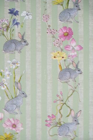 Colab Coralbloom Tissue Paper