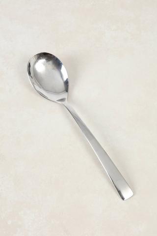 Everyday Stainless Steel Serving Spoon