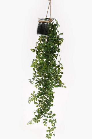 Hanging Greenery In Glass Pot, 75cm