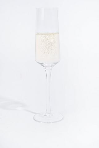 Rainer Champagne Glass