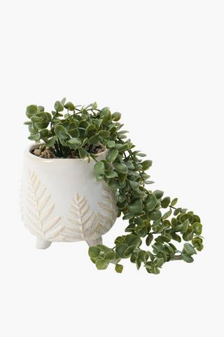 Trailiing Fern In Embossed Pot, 46.5x16cm