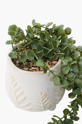Trailiing Fern In Embossed Pot, 46.5x16cm