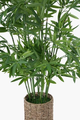 Bamboo Tree In Basket Pot, 100cm