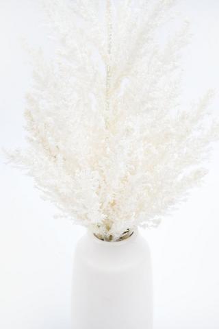 Farmhouse Fern In Ceramic Vase, 9x48cm