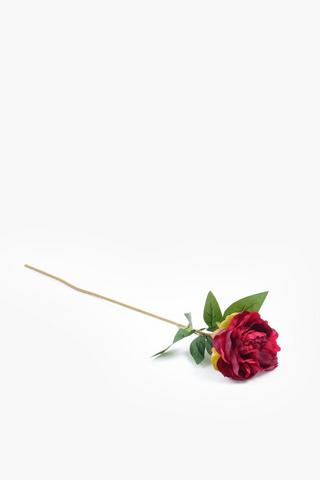 Rose Single Stem, 72cm