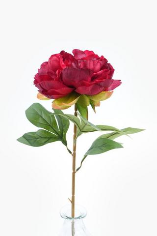 Rose Single Stem, 72cm