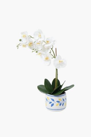 Orchid In Lemon Delft Pot, 13x55cm