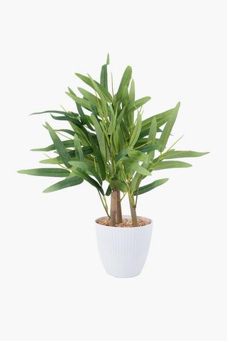 Bamboo Tree In Ribbed Pot, 40cm