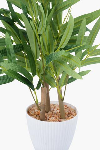 Bamboo Tree In Ribbed Pot, 40cm