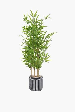 Bamboo Tree In Stripe Mono Pot, 120cm