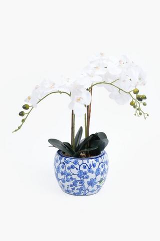 3 Stem Orchid In Delft Pot, 18x53cm
