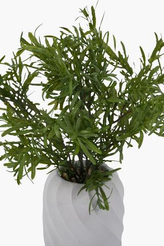 Greenery Bush In Twist Cement Pot, 6x38cm