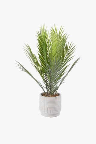 Palm Tree In Geo Pot, 12x59cm