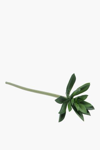 Succulent Single Stem, 65cm