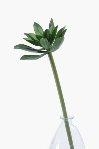 Succulent Single Stem, 65cm
